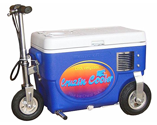 Big Toys 500W Electric Scooter Cooler Color:...