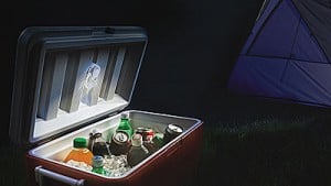 best camping cooler bear proof