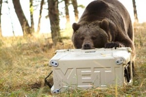 pelican bear proof cooler