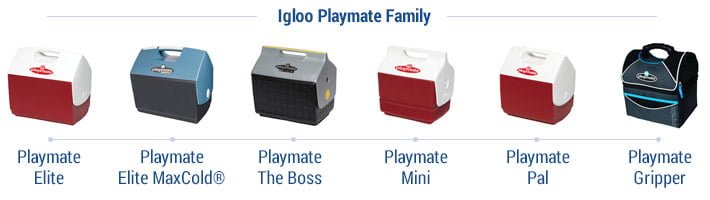 playmate the boss cooler