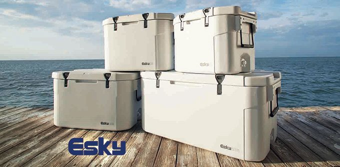 How much does an esky cost?