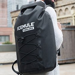 icemule pro insulated backpack