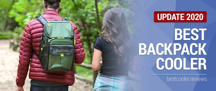 Best Backpack Cooler of 2020 - Our Experts' Top Picks (With Reviews)