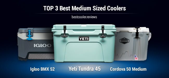 medium sized coolers